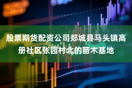 股票期货配资公司郯城县马头镇高册社区张园村北的苗木基地