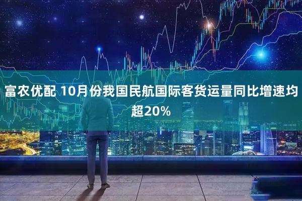 富农优配 10月份我国民航国际客货运量同比增速均超20%