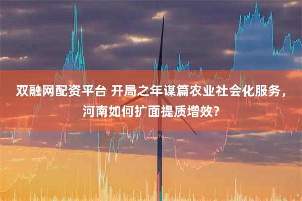 双融网配资平台 开局之年谋篇农业社会化服务，河南如何扩面提质增效？