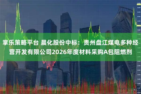 掌乐策略平台 晨化股份中标：贵州盘江煤电多种经营开发有限公司2026年度材料采购A包阻燃剂